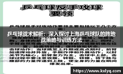 乒乓球战术解析：深入探讨上海乒乓球队的阵地战策略与训练方法